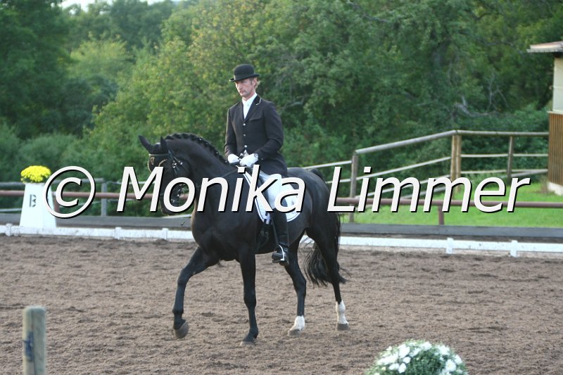 109M5272_Welcome Beauty_Dressurpferde M.JPG